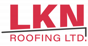 Logo of LKN company